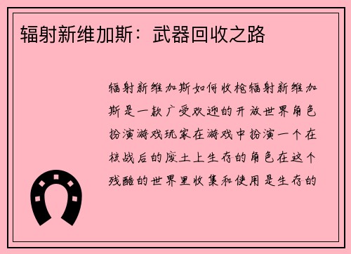 辐射新维加斯：武器回收之路